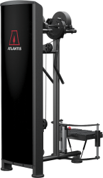 Atlantis Precision Standing Lateral Raise